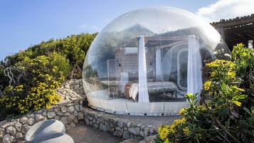 Tente Premium, 1 grand lit, vue océan | Minibar, décoration personnalisée, ameublement personnalisé