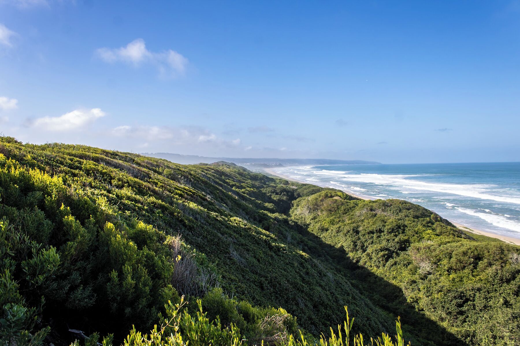A coastal landscape with lush green hills and a beach.