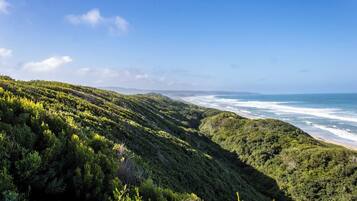 A coastal landscape with lush green hills and a beach.