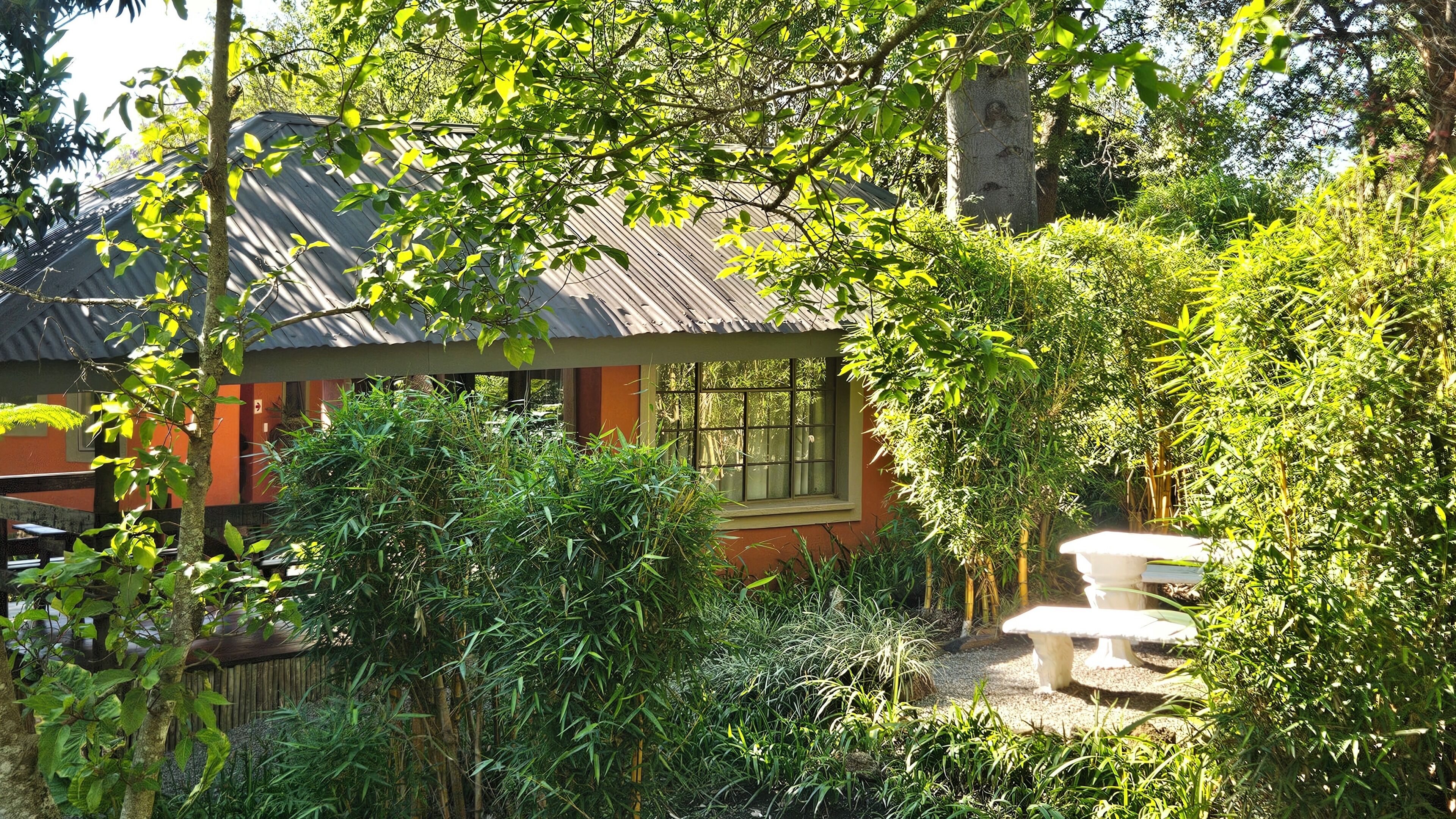 Una casa con una ventana, rodeada de follaje denso y un pequeño jardín con un banco.
