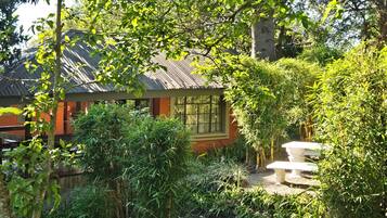Una casa con una ventana, rodeada de follaje denso y un pequeño jardín con un banco.