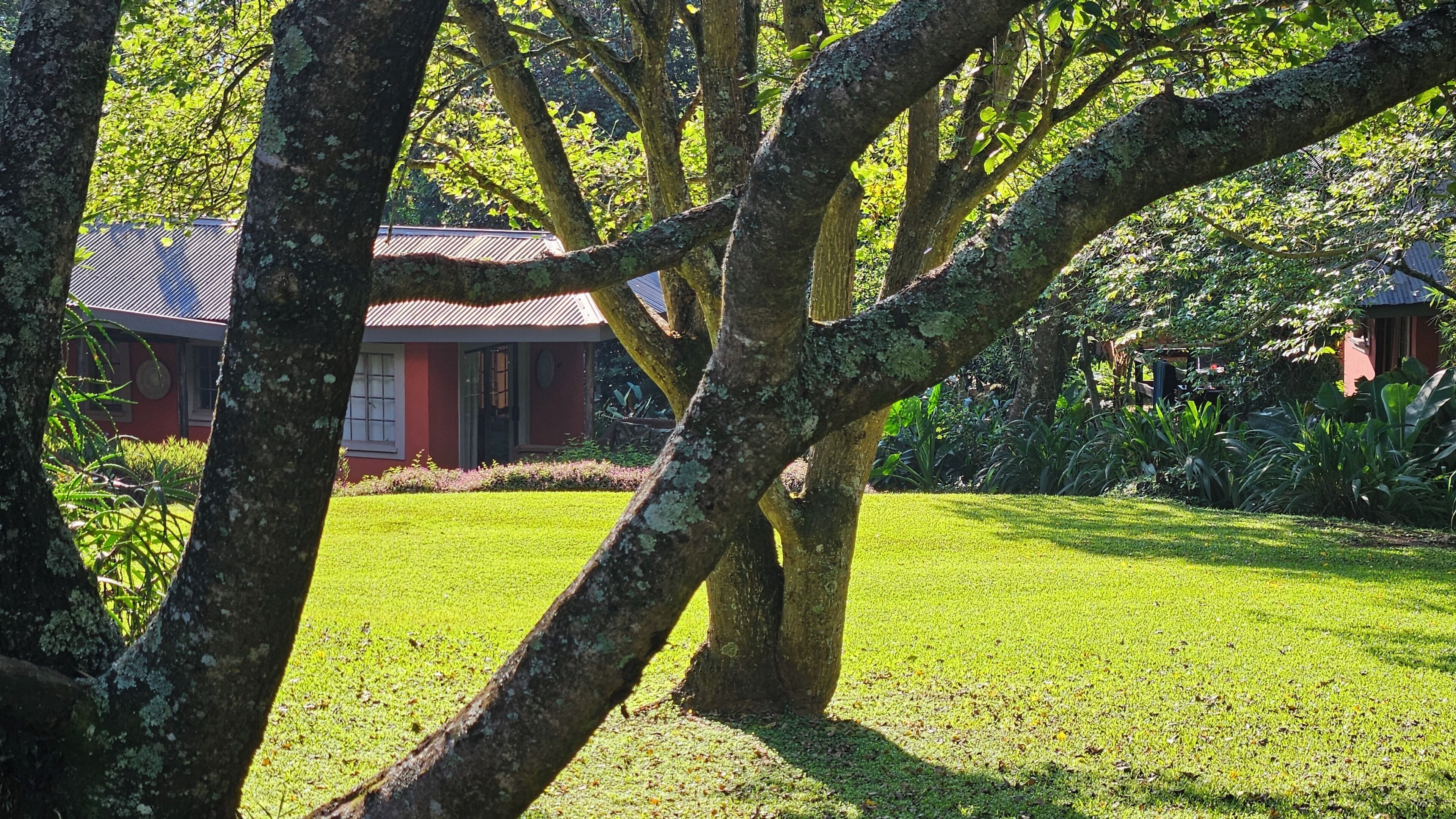 Chalet, 1 chambre | Terrasse/Patio