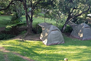 Standard Tent, 1 Bedroom | 1 bedroom, free WiFi