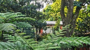 Standard Double Room | Free WiFi - Lidwala Lodge  (Lobamba)