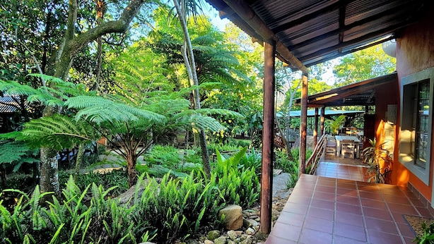 Un espacio al aire libre cubierto con una terraza de madera, rodeado de abundante vegetación y helechos.