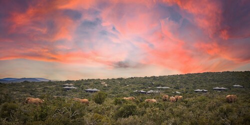 Ecca Lodge