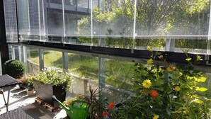 Une véranda agrémentée de plantes en pot et dotée d’un toit en verre.