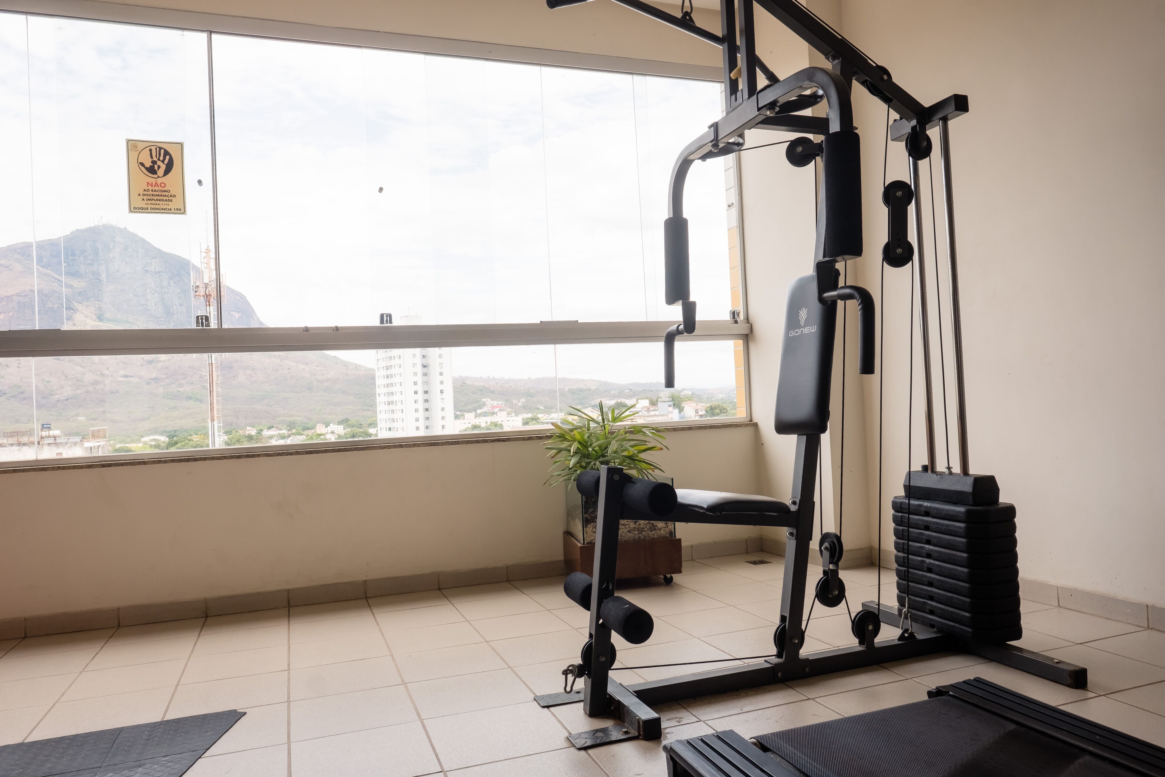 A gym with exercise equipment, a window with a view of buildings and mountains, and a potted plant.