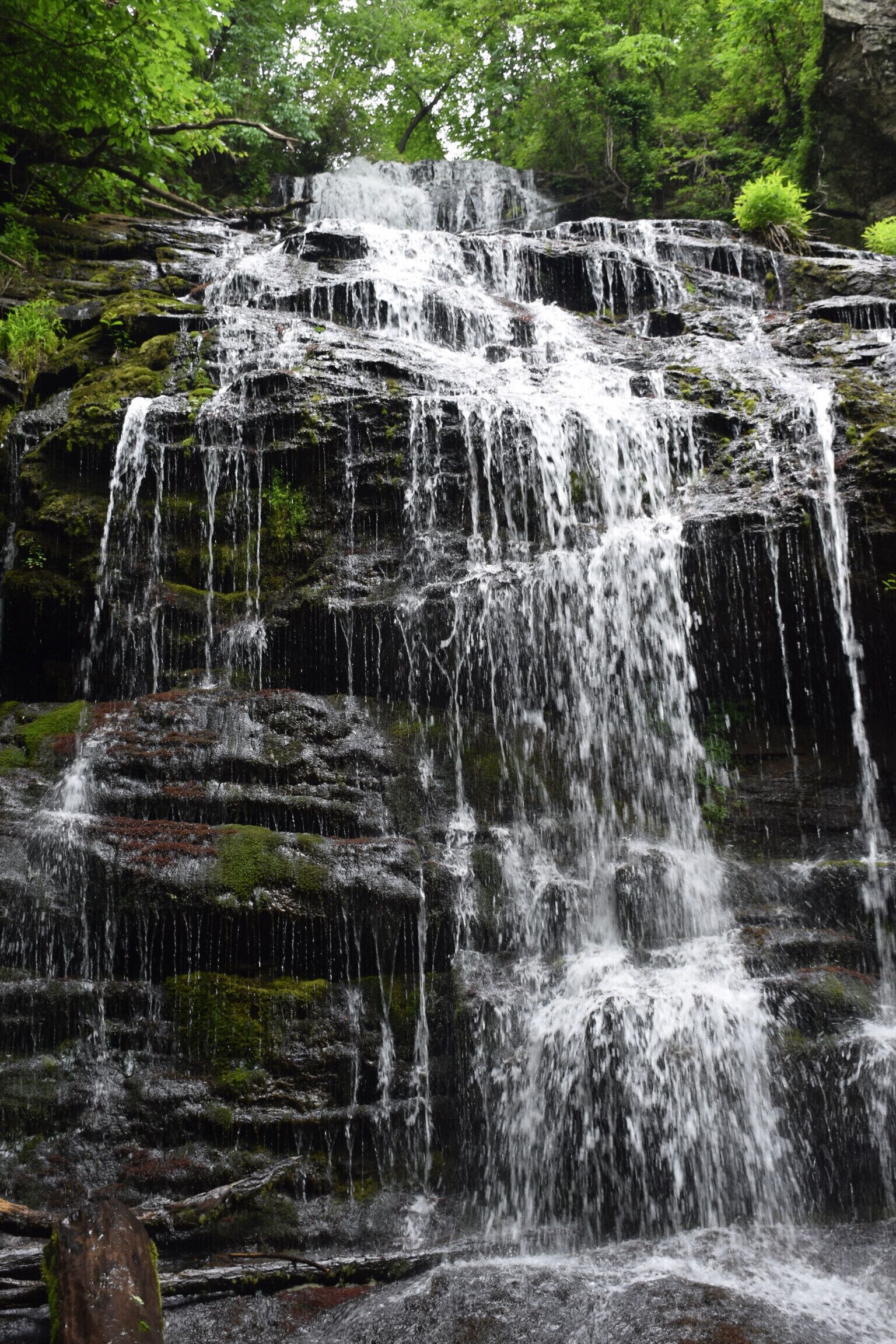 Ein mehrstufiger Wasserfall stürzt über moosbewachsene Steine in einem bewaldeten Gebiet.