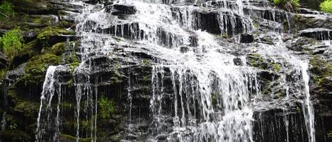 Ein mehrstufiger Wasserfall stürzt über moosbewachsene Steine in einem bewaldeten Gebiet.