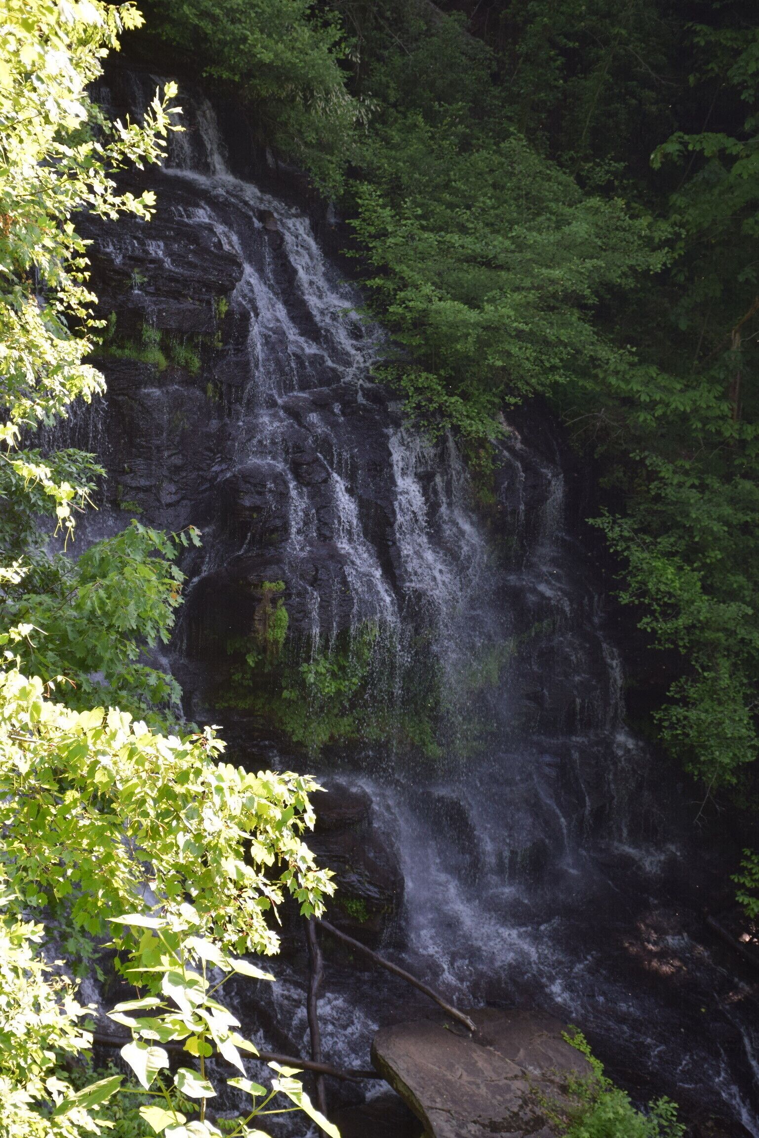 A waterfall cascading down a rocky cliff surrounded by dense green foliage.