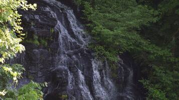 A waterfall cascading down a rocky cliff surrounded by dense green foliage.