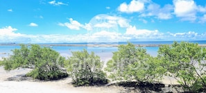 A beach with trees, a clear sky, and a distant ship. - Flats no La Fleur Polinésia Residence (Ipojuca)