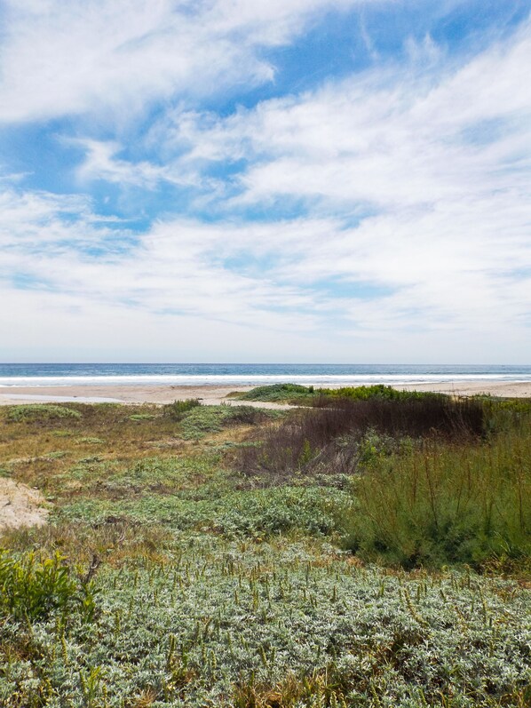 Una spiaggia nelle vicinanze