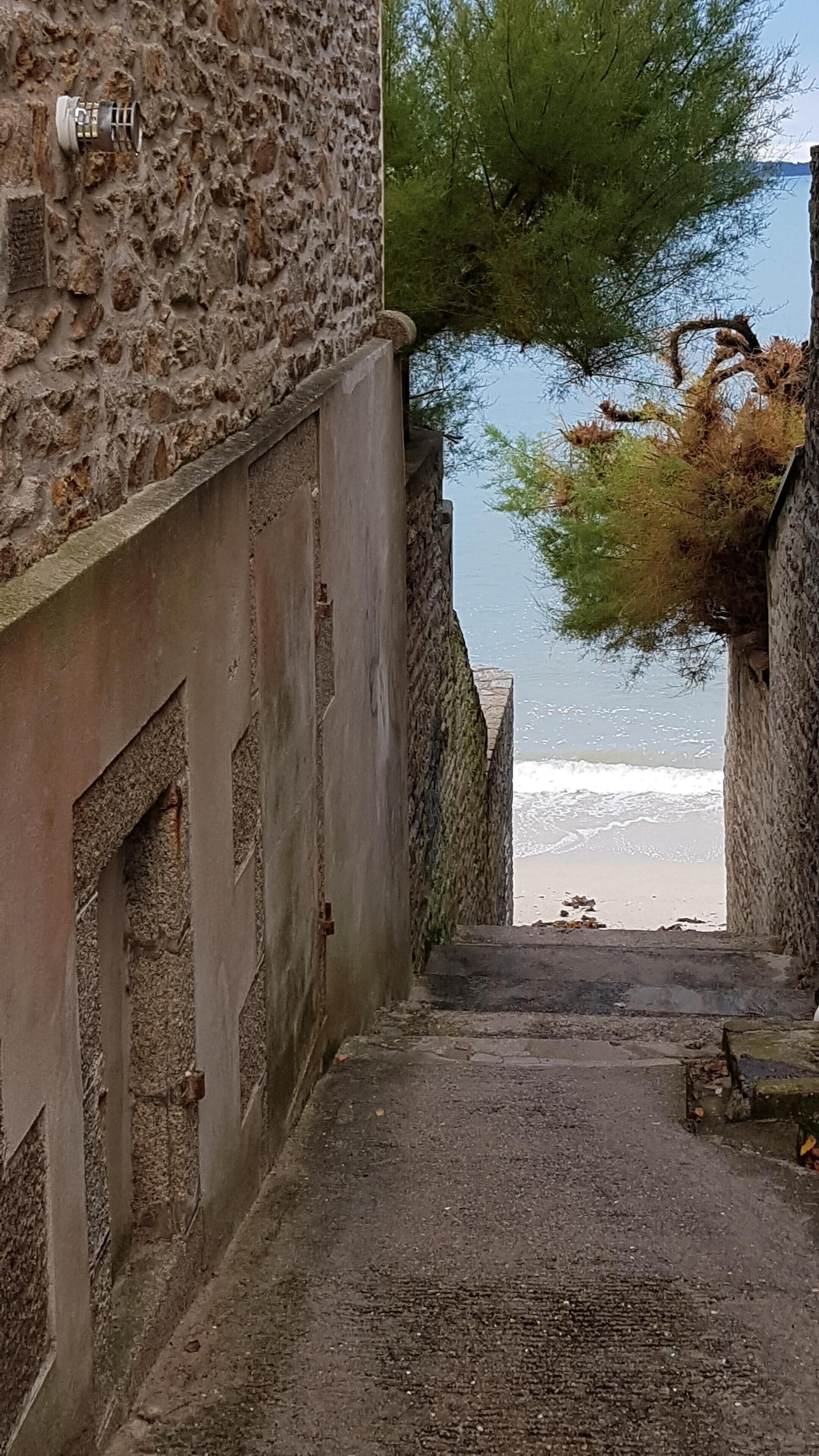 Un étroit sentier de pierres qui mène à une plage, avec un bâtiment d’un côté et un arbre de l’autre.