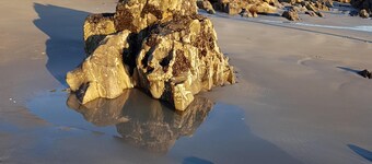 Apartment 100m from the beach and 400m from the Thalasso