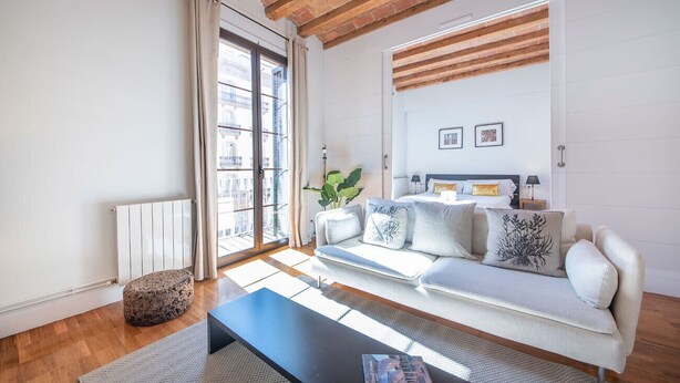 Uma sala de estar moderna com um sofá, uma mesa de centro e uma planta.