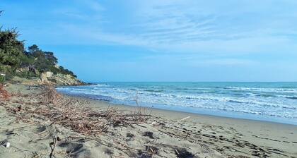 Toscanan unelma kukkulalla ja lähellä merta - Lomahuoneisto Vetulonia