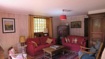 Télévision, cheminée, livres