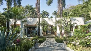 A pathway leading to a building with a tiled roof, surrounded by various tropical plants and a stone pathway.