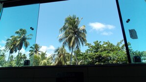 Vista a través de una ventana con palmeras y cielo despejado.