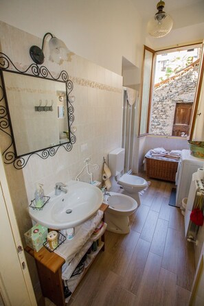 Shower, hair dryer, bidet, towels