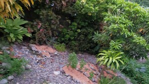 Um jardim com caminho de cascalho, diversas plantas e um pequeno elemento aquático.