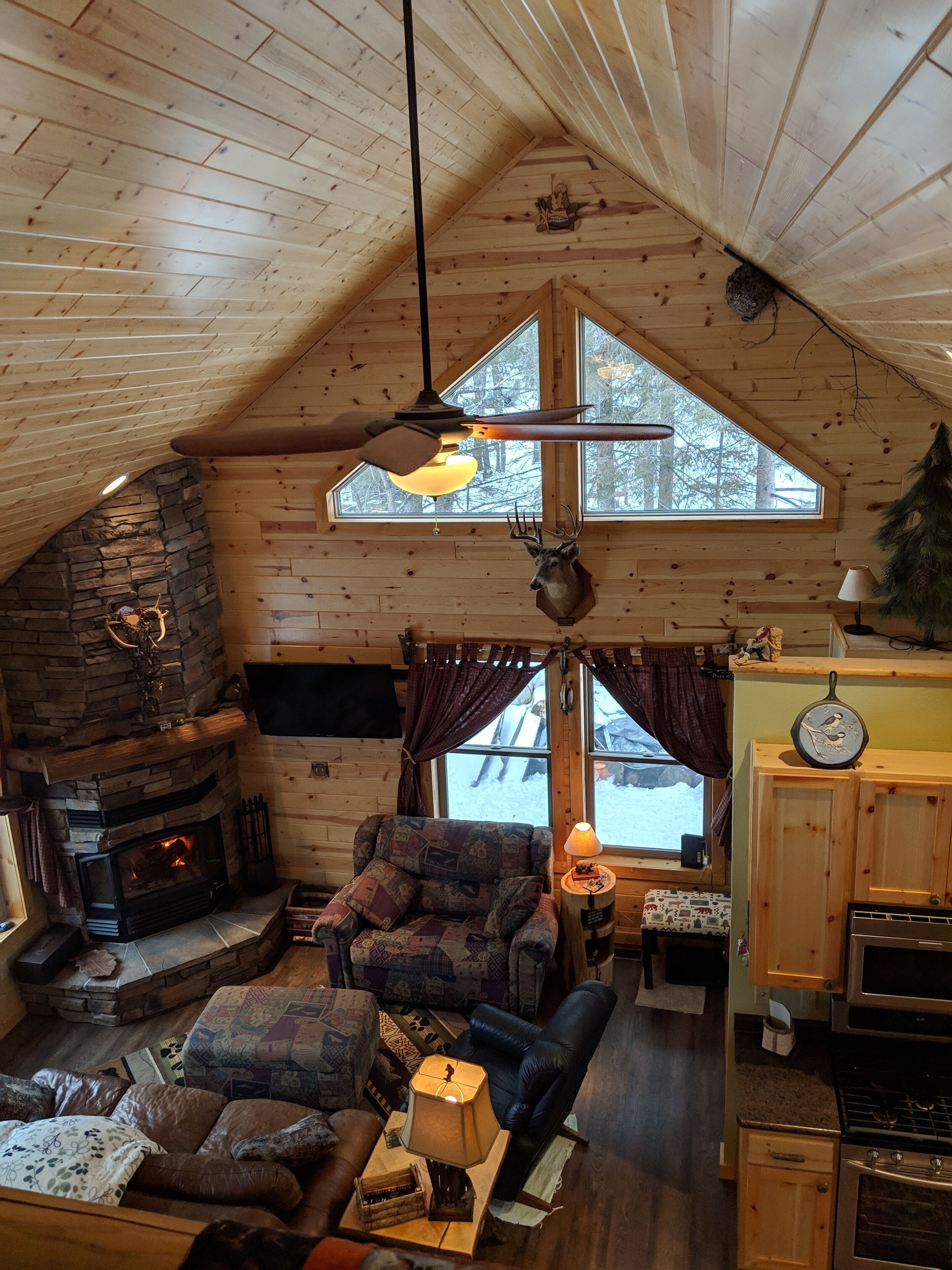 Smart TV, fireplace, DVD player, video library