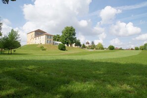 Taman