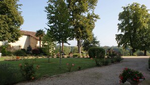 A well-maintained garden with a gravel path, various plants, and a building with a tiled roof.
