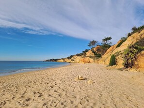 A sandy beach with a clear sky and rocky cliffs in the background.