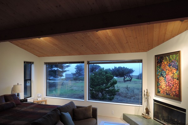 Smart TV, reproductor de DVD, libros y biblioteca musical