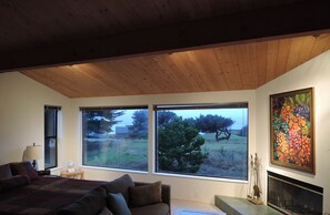 Smart TV, DVD player, books, music library