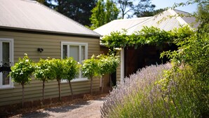 A house with a garden, a pergola, and a row of lavender plants.