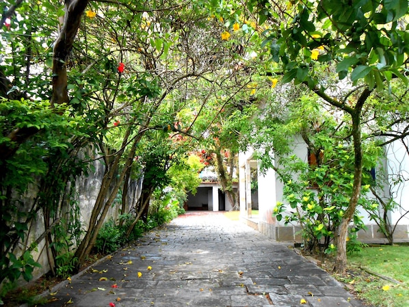Área da propriedade