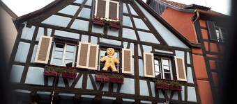 Au p'tit Bonheur Vosgien!  Gîte "La Mauselaine" 6-8 people