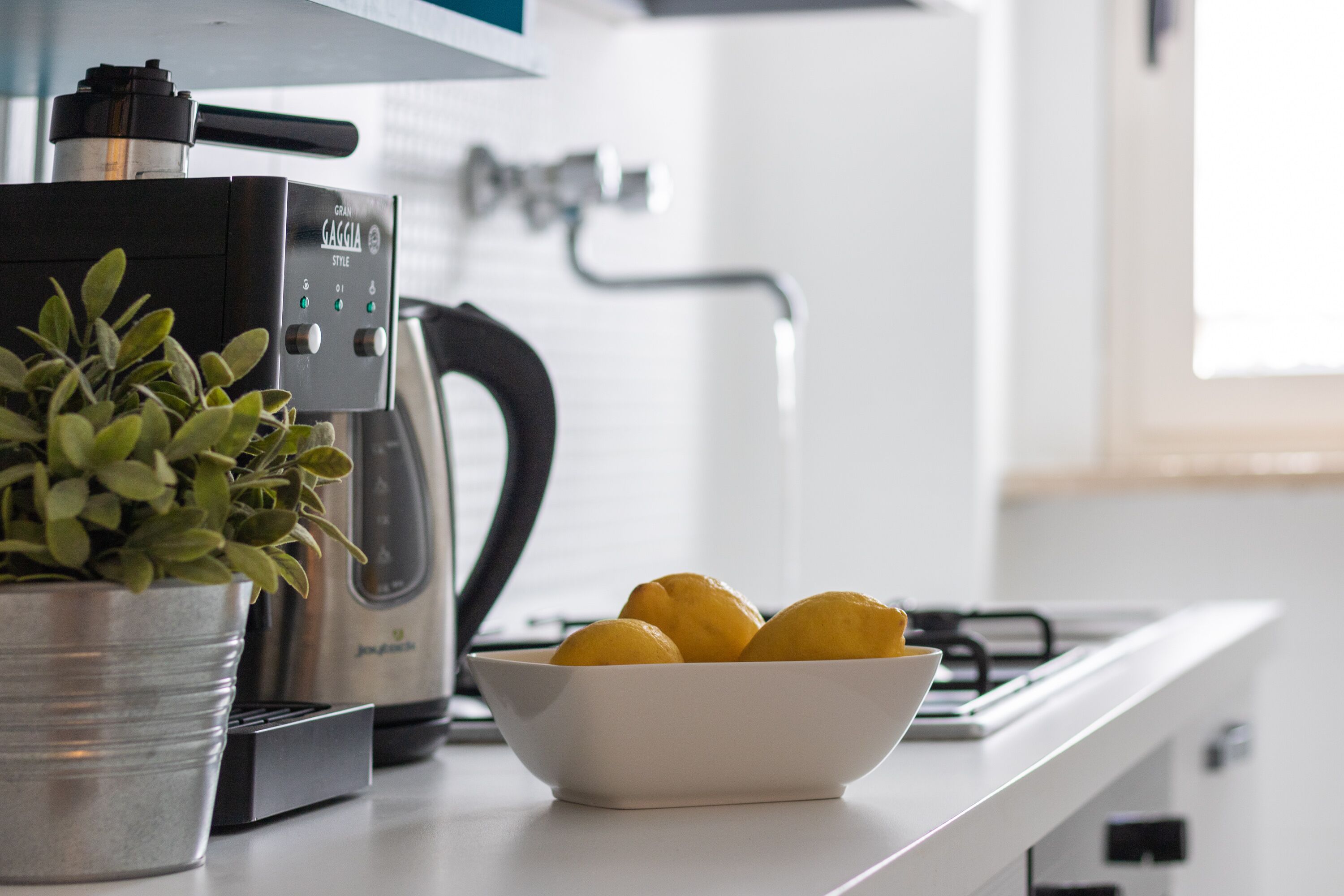 sea front with garden.