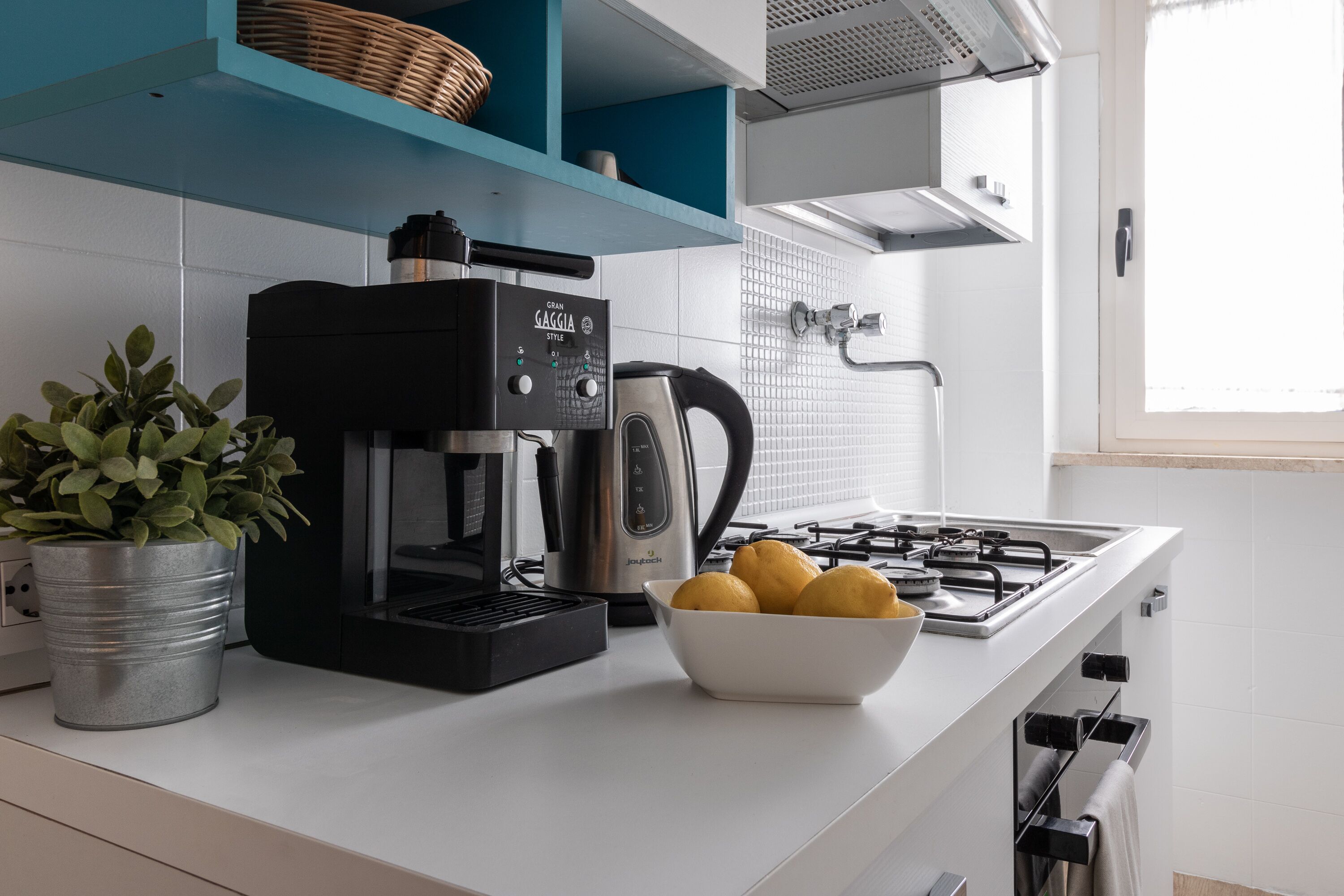 sea front with garden.