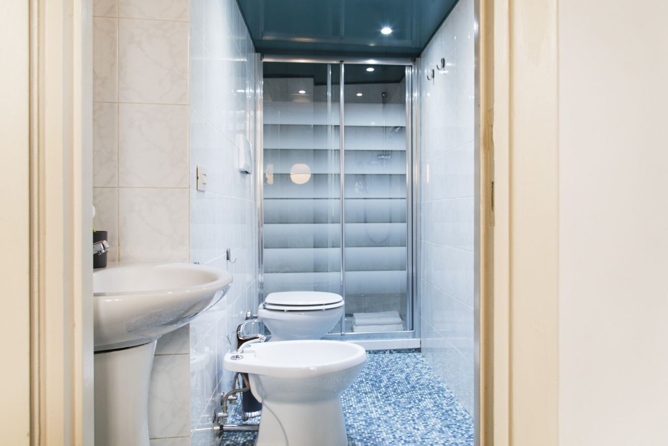 Shower, hair dryer, bidet, towels
