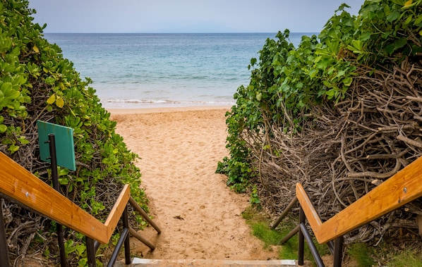 Un sentier de sable qui longe la plage et mène à l’océan, bordé d’une végétation luxuriante et de constructions en bois.