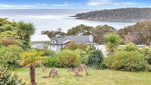 A house with a view of the sea, surrounded by greenery and a palm tree.