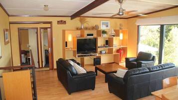 Fernseher, Kamin, DVD-Player