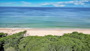 Een strand met helder water en groene begroeiing op de voorgrond.