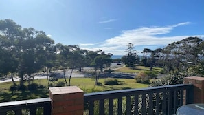 A balcony with a view of a park, trees, and a road.