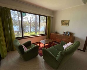 Televisión, chimenea y libros 