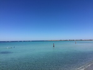 Playa en los alrededores y camastros 