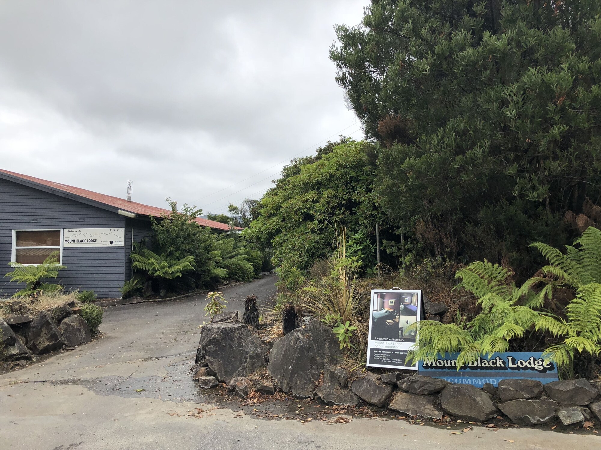 فنادق بتصنيف نجوم (2)