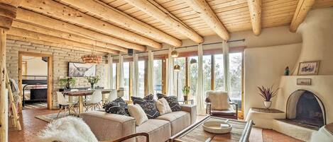 TV, fireplace, books, video library