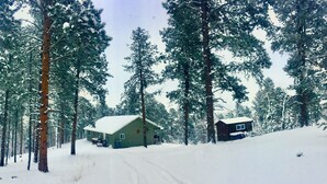A cabin surrounded by tall pine trees in a snowy forest. - High Pines Hideaway  on Two Bit Springs Rd. (Deadwood)