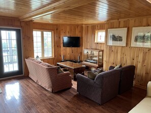 TV, DVD player, books, video library